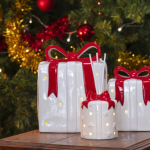 Pacco Regalo Natale (Diverse Varianti)